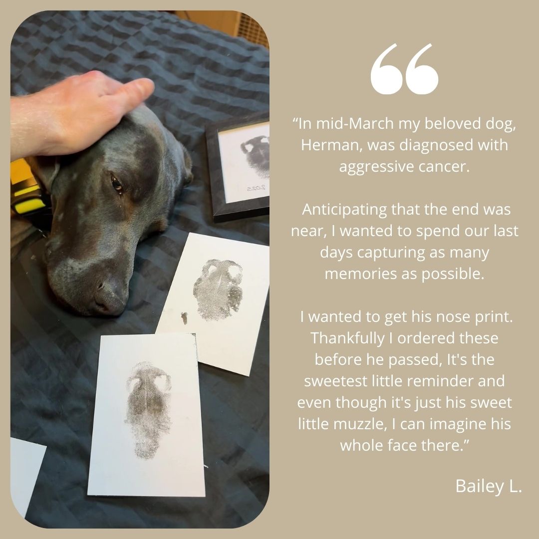 Paw Print Kit + Frame