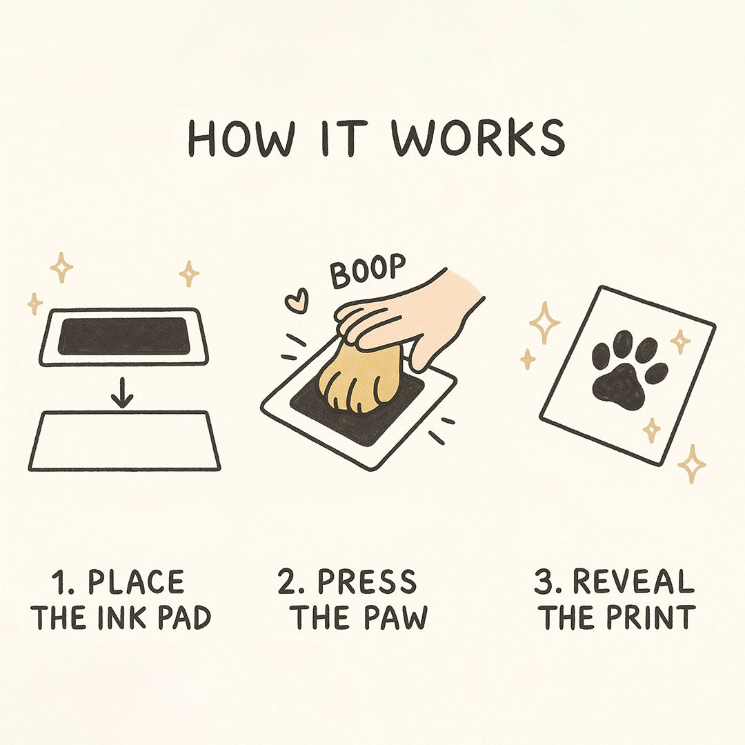 Paw Print Kit + Frame