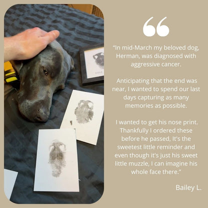 Paw Print Kit + Frame